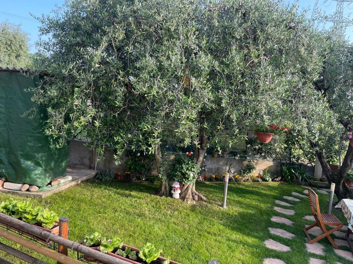 Casa Vacanze Collina Del Lago Pastrengo Exteriér fotografie